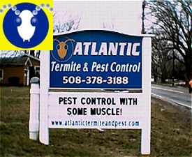 Termite Sign